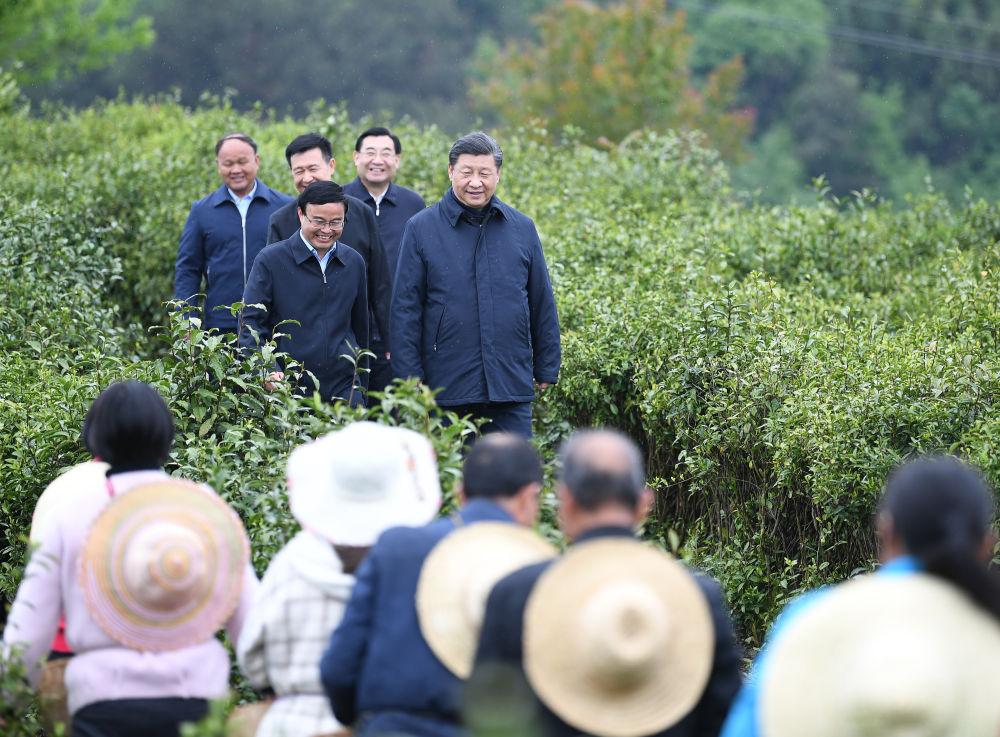 2020年4月21日，習近平來到陜西省安康市平利縣老縣鎮(zhèn)，在茶園考察脫貧攻堅情況。新華社記者 燕雁 攝